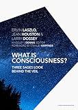 What is Consciousness?: Three Sages Look Behind the Veil (A New Paradigm Book)