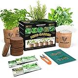 Meekear Indoor Herb Garden Starter Kit, 5 Non-GMO Herb Seeds - Basil, Parsley, Rosemary, Thyme, and Mint with Complete Planting Set for Kitchen Herb Garden DIY