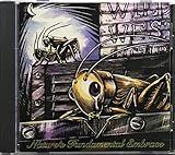 Nature's Fundamental Embrace