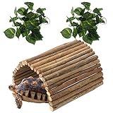 Hamiledyi Extra Large Wooden Reptile Hideout Bearded Dragon Bendy Bridge Climbing Ladder Hiding Hut Reptiles Hide Cave Habitat Decor for Lizards Gecko Spiders Snakes Tortoise(L:20" x 11.8")