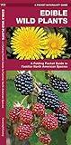 Edible Wild Plants: A Folding Pocket Guide to Familiar North American Species (Nature Observation North America)