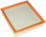 FRAM CA11895 Air - Panel Filter