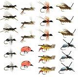 DiscountFlies Terrestrial Dry Fly Fishing Flies – Fishing Kit w/Fly Box & 12 Dry Flies for Trout Fishing – Realistic and Effective Fly Fishing Gear – Trout Flies for Fly Fishing on Strong Sharp Hooks