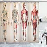 Ambesonne Human Anatomy Shower Curtain, Vintage Chart of Body Front Back Skeleton and Muscle System Bone Mass Graphic, Cloth Fabric Bathroom Decor Set with Hooks, 69" W x 84" L, Ruby Cream