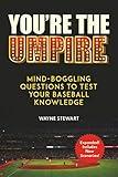 You're the Umpire: Mind-Boggling Questions to Test Your Baseball Knowledge