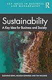 Sustainability (Key Ideas in Business and Management)