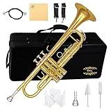 Glory Bb Trumpet - Trumpets for Beginner or Advanced Student with Case, pair of gloves-Gold