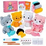 Crochet Kit for Beginners - Cat Crochet Kit with Step-by-Step Video Tutorials, Learn to Crochet Kits for Adults and Kids, 4 PCS Cat with Hat, Toy, Fish Crocheting Set