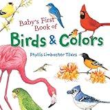 Baby's First Book of Birds & Colors