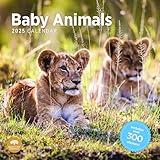 2025 Baby Animals Monthly Wall Calendar by Bright Day, Includes Over 300 Stickers, 12 x 12 Inch