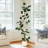 Rubber Tree 5FT Artificial Tree in White Planter Pot,Faux Plants Indoor Faux Floor Plant Artificial Plants with 7 Pcs Magnolia Flowers for Home Decor, Artificial Fiddle Leaf Fig Tree for Office