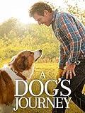 A Dog's Journey