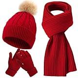 Geyoga 3 Pieces Winter Beanie Hat Scarf Touch Screen Warm Gloves Set Knit Skull Cap for Men and Women (Claret,Classic Style)