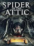 Spider in the Attic