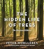 The Hidden Life of Trees: The Illustrated Edition (David Suzuki Institute)