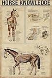 Horse Knowledge Metal Tin Sign Anatomy Of A Horse Fun Poster Club Fitness Kitchen Bathroom Living Room Home Art Wall Decoration Plaque Gift