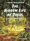 The Hidden Life of Trees: A Graphic Adaptation: (of the International Bestseller)