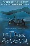 The Dark Assassin (New Darkness Book 3)