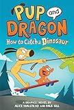 How to Catch Graphic Novels: How to Catch a Dinosaur