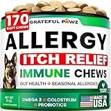 Dog Allergy Relief Chews - Dog Itching Skin Relief Treatment - 170 Chews - Anti-Itch, Hot Spots, Paw Licking - Immune Health - Omega 3 Fish Oil - Dry Itchy Skin and Coat Supplement - Made in USA
