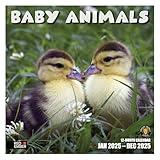 RED EMBER Baby Animals 2025 Wall Calendar 12 Month | 12" x 24" Open | Thick & Sturdy Paper | Giftable | Calendar 2025