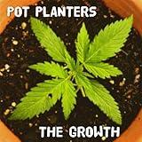 Pot Planters
