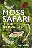 Moss Safari: Exploring the Secret Life in Moss