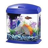 Aqueon LED MiniBow Small Aquarium Fish Tank Kit with SmartClean Technology, Blue, 1 Gallon