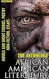 The Anthology. African American literature. Novels and short stories. Poetry. Non-fiction. Essays. Illustrated