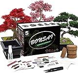 Meekear 5 Bonsai Tree Kit Complete Plant Growing Tools, Grow in Pot Indoor Bonsai Tree Starter Kit, Great Home Gardening Potted Plants DIY Gift for Adults