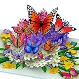 Hartensteler® Butterflies in Nature Pop Up Card - 3D Butterfly Card for Wife, Girlfriend & Mother (Birthday Card, Get Well, Thank You, Anniversary)