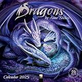 Dragons by Anne Stokes Wall Calendar 2025 (Art Calendar)