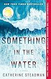 Something in the Water: Reese's Book Club: A Novel