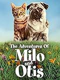The Adventures Of Milo And Otis