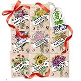 Seeds for Planting Flowers: 8 Bulk Variety Packets Zinnia, Nasturtium, Marigold, Purple Coneflower, Cosmos, Calendula, Bachelor's Button & Sunflower Seeds, Non GMO Flower Seeds by Sustainable Sprout