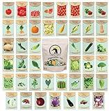 Set of 43 Assorted Vegetable & Herb Seed Packets - Over 10,000 Seeds! - Includes Mylar Storage Bag - Deluxe Garden Heirloom Seeds - 100% Non-GMO