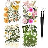 Nuanchu Pressed Flowers Bulk Dried Flower for Crafts, Dried Wildflowers Leave Natural with Tweezer for Resin Mold Scrapbooking Nail Soap Making DIY(Fresh Style,Elegant Color)