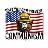 3" Only you can prevent communism Bear american flag USA 2024 Political Truth Politics World American Freedom Text Quality Decal News freedom constitution