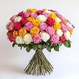 100 Assorted Roses- Fresh Cut Flowers- 4 Colors Beautiful Gift for Birthday, Anniversary, Congratulations, Thank You, Just Because -100 Fresh Flowers (OM)