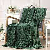 Inhand Fleece Throw Blankets, Super Soft Flannel Cozy Blankets for Adults, Washable Lightweight Blanket for Couch Sofa Bed Office, Warm Plush Blankets for All Season (50"×60", Green)