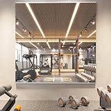pertetey Home Gym Mirror, 48X24 Inch(2Pack) Wall Mounted Large Frameless Tempered Glass Mirror, Idea for Gym, Yoga, Bedroom, Dance Studio, Living Room