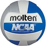 Molten Camp Volleyball (Blue/Silver/White, Official)