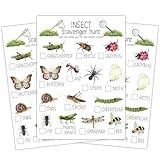 ltazhyi Insect Scavenger Hunt Cards Set of 30 Pcs, Nature Treasure Hunt Game for Family Friends, Outdoor Holiday Party Game Find and Seek Camping Activity -03
