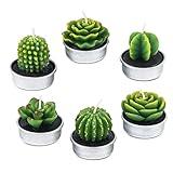 Handmade Delicate Succulent Cactus Candles for Birthday Party Wedding Spa Home Decoration(6 Packs-1)