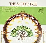 Sacred Tree: Reflections on Native American Spirituality