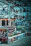 Social Urban Blight: Abandoned Urban Areas