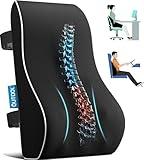 QUTOOL Lumbar Support Pillow for Office Chair Back Support Pillow for Car, Computer, Gaming Chair Memory Foam Back Cushion for Back Pain Relief Improve Posture, Mesh Cover Double Adjustable Straps