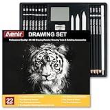 Charcoal Pencils for Drawing, Set of 22, Professional Drawing Sketch Pencils, Art Supplies for Drawing, Sketching, Shading, Artist Pencils for Beginners & Pro Artists.