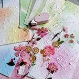 MOLNESO Scrapbook Paper Kit 132 Pieces Including Clear Dried Flower Style Stickers, Assorted Pastel Decorative Scrapbooking Supplies for Journals, Card Making, Collage, Junk Journals, DIY Crafts