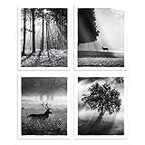 Retro Nature Landscape Pictures Wall Art Decor Set of 4 Black and White Wildlife Deer in Sunrise Mist Forest Print Posters for Bathroom Bedroom Office 8x10 Inch